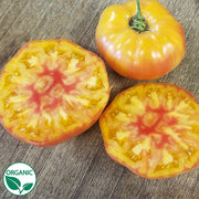 MaiTai F1 Organic Tomato