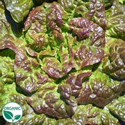 Red Baron Organic, NOP-Compliant Pellet, Lettuce