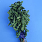 Karikachi Untreated Soybean