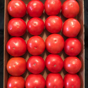 Patsy (B-3353) F1 Untreated Tomato