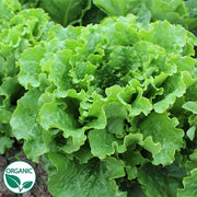Fusion Organic, NOP-Compliant Pellet, Lettuce