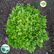 Ezpark Organic, NOP-Compliant Pellet, Lettuce