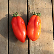 San Marzano Untreated Tomato