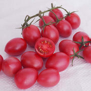 Raspberry Drop MPR F1 Untreated Tomato