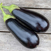 Vivaldi F1 Untreated Eggplant