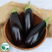 Gaudi F1 Organic Eggplant