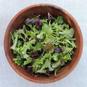 Gourmet Salad Mix Improved Untreated Seed, Raw Lettuce