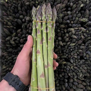 Walker Deluxe F1 Untreated Asparagus Seeds