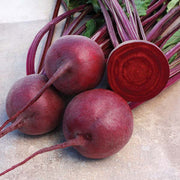 Eagle F1 Treated Red Beet Seeds