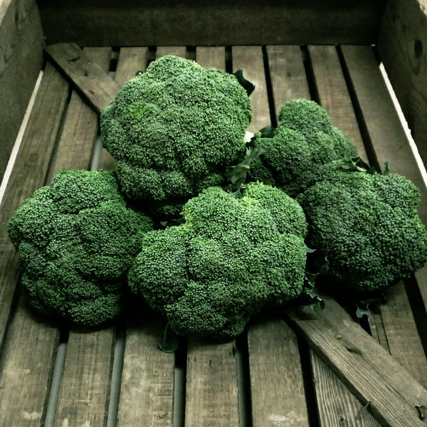 Broccoli, Green Gold