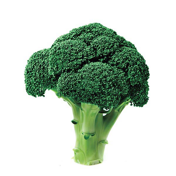 Heritage F1 Treated Broccoli Seeds