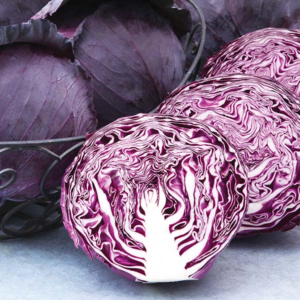 Ruby Red Cabbage Ruby King Improved F1 Untreated Red Cabbage Seeds