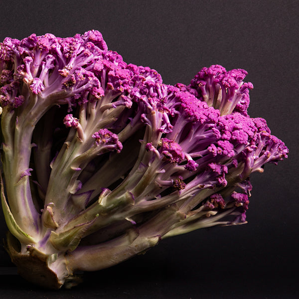 Cauliflower, Murasaki Fioretto 70 (3)
