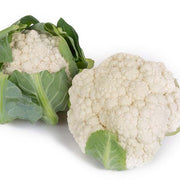 Cauliflower, Paxton (1)