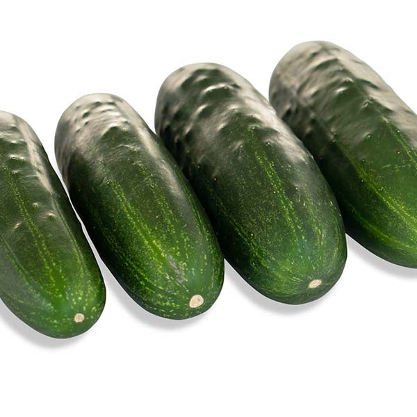 Super Max F1 Treated Pickle Cucumber Seeds