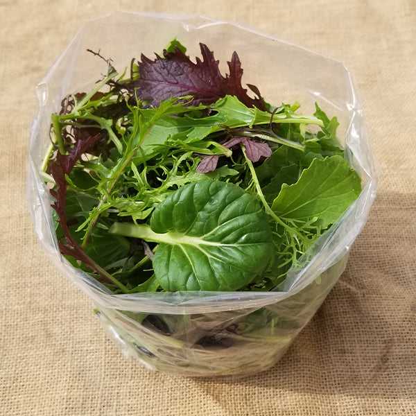 Greens, Mix - Mild and Wild Brassica Mix Untreated