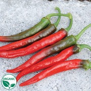 Pepper, Cayenne - Solero Ring O' Fire Organic Seeds