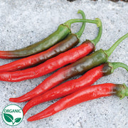 Solero Ring O' Fire Organic Cayenne Pepper Seeds