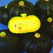 Squash, Kurinishiki