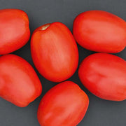 Plum Regal F1 Untreated Tomato Seeds