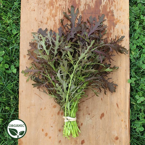 Ruby Streaks Organic Mustard Seeds | Osborne Organic Farm Seed Supplier