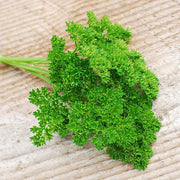 Forest Green Untreated Parsley Seeds