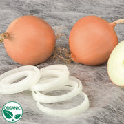 Calibra Untreated Onion Seeds