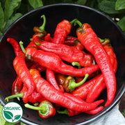 Jimmy Nardello's Organic Pepper Seeds