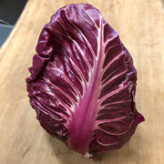 Costarossa Untreated Radicchio Seeds