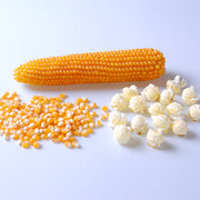 Poof (R400MR) Untreated Popcorn Seeds